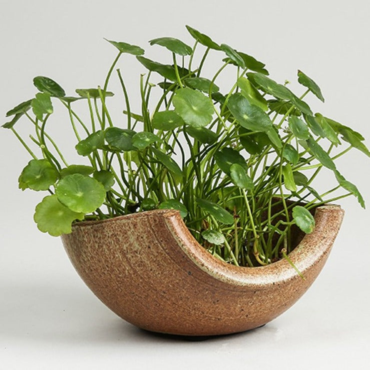 Vase Midori