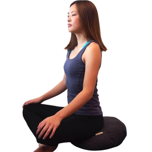 Zafu Méditation Yoga Zipp (4 couleurs)