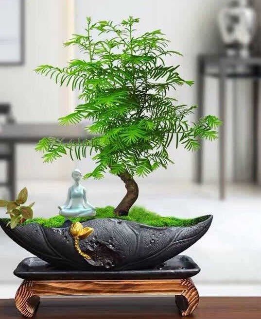 Vase Waku
