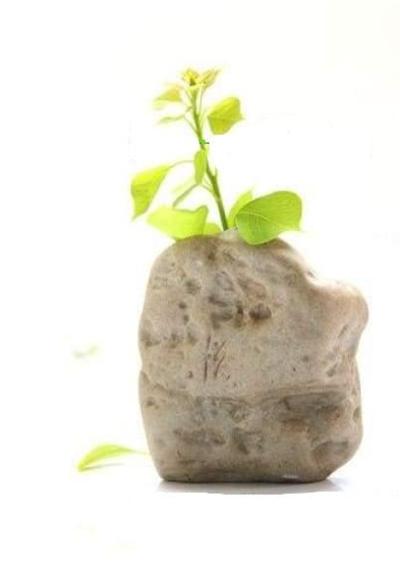 Vase Fuyu