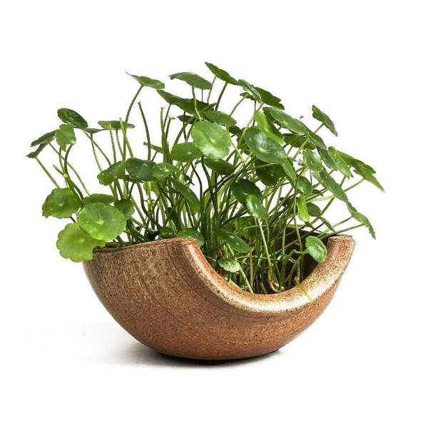 Vase Midori